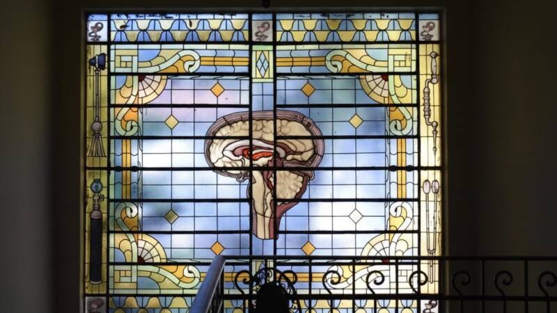 Whatsapp Image 2025 11 01 At 00.04.08